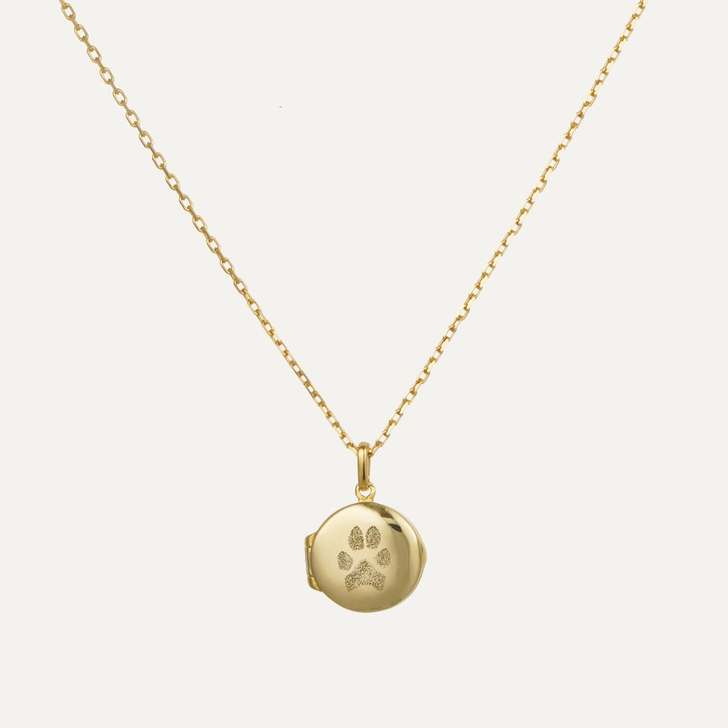 Custom Pet Photo Locket Necklace featured in Styling Pet-Themed Accessories: A Guide to Chic Looks