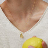 Custom Pet Nose Print Necklace