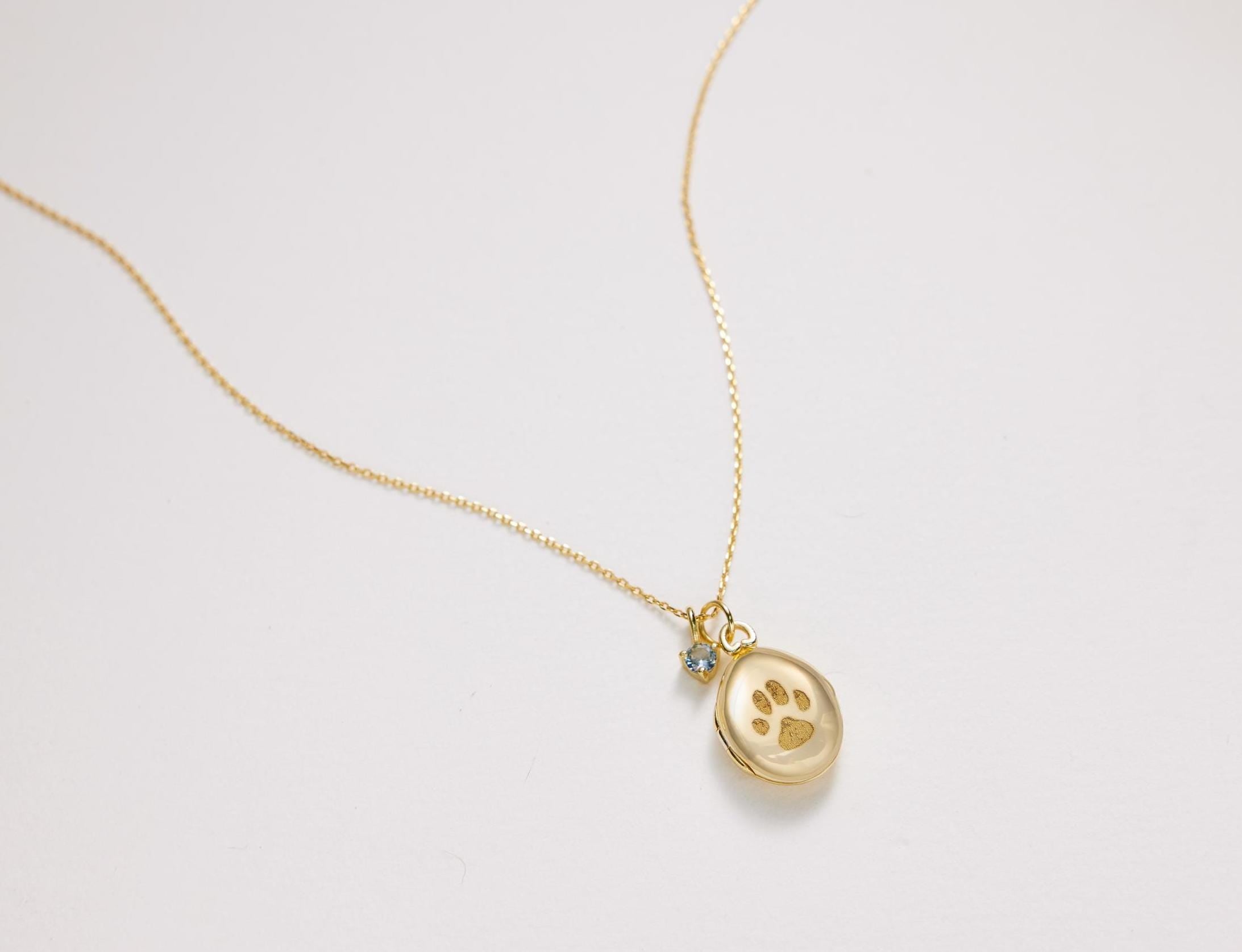 Gold necklace with a paw print pendant on a light gray background