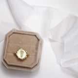 Newborn Seal Wax Spinner Ring