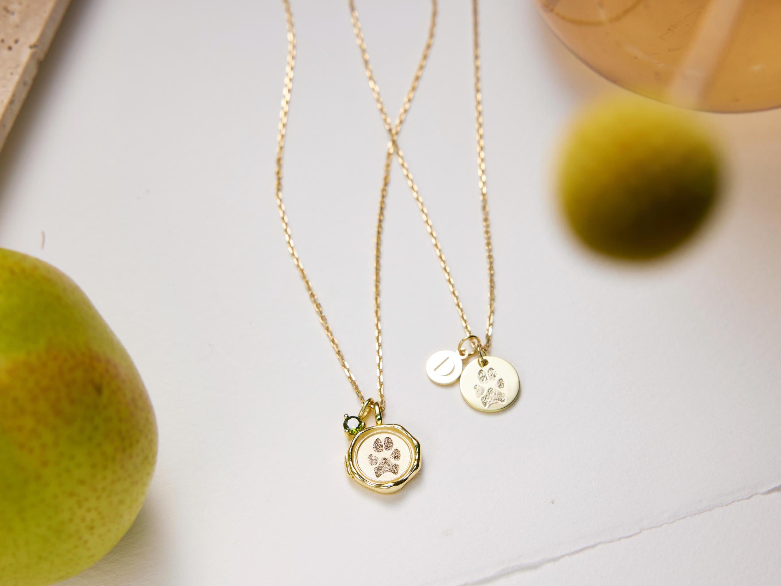 Paw Print Locket Necklace-Paw Print Locket Necklace-EcoPhilia